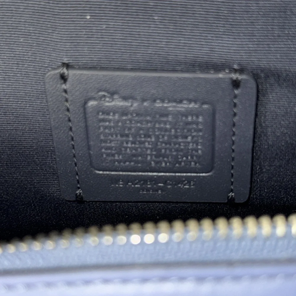 Disney X Coach Cinderella Crossbody Box Bag Purse NWT - Picture 14 of 15